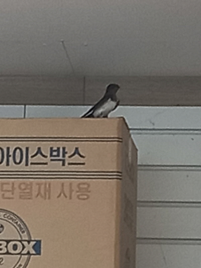 꾸미기_2꾸미기_220210421_102536.jpg