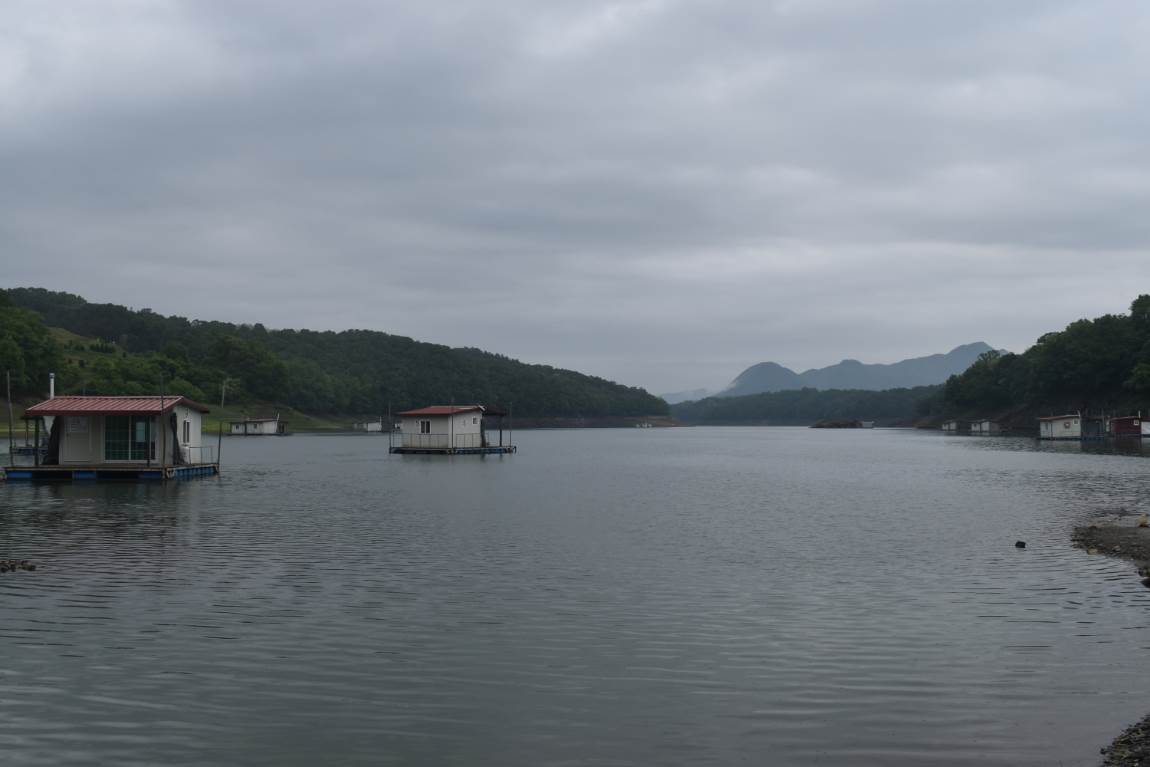DSC_0001.JPG
