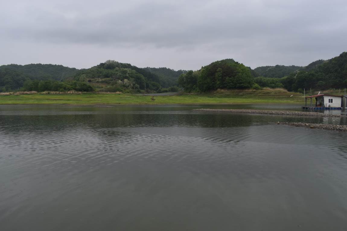 DSC_0003.JPG