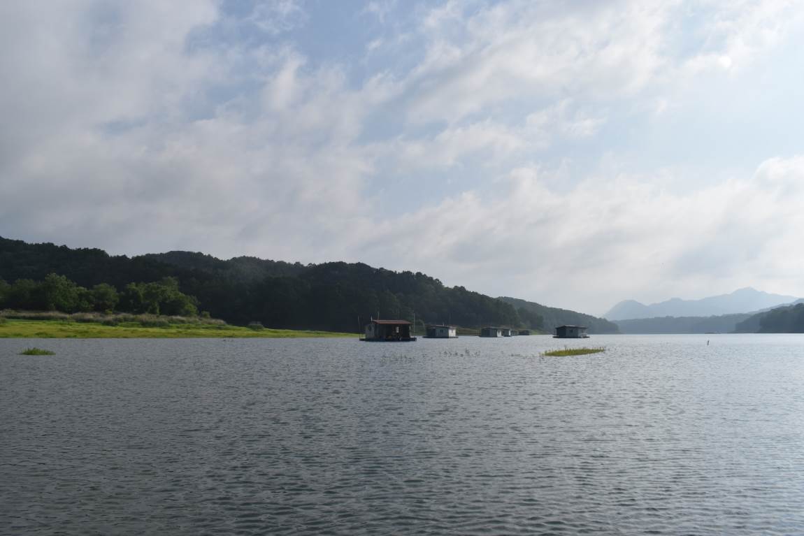 DSC_0001.JPG