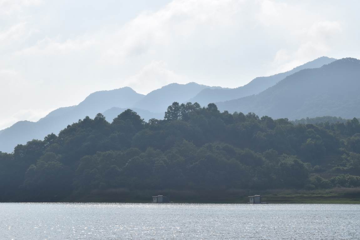 DSC_0013.JPG