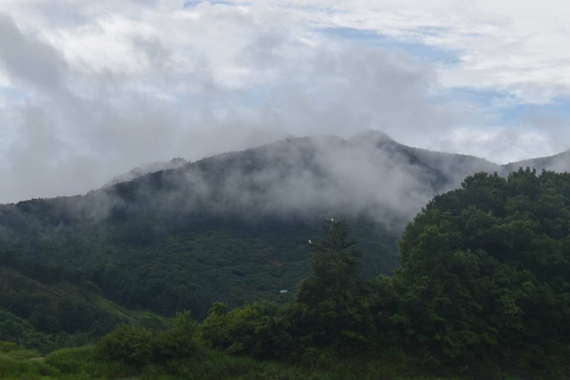 DSC_0043.JPG