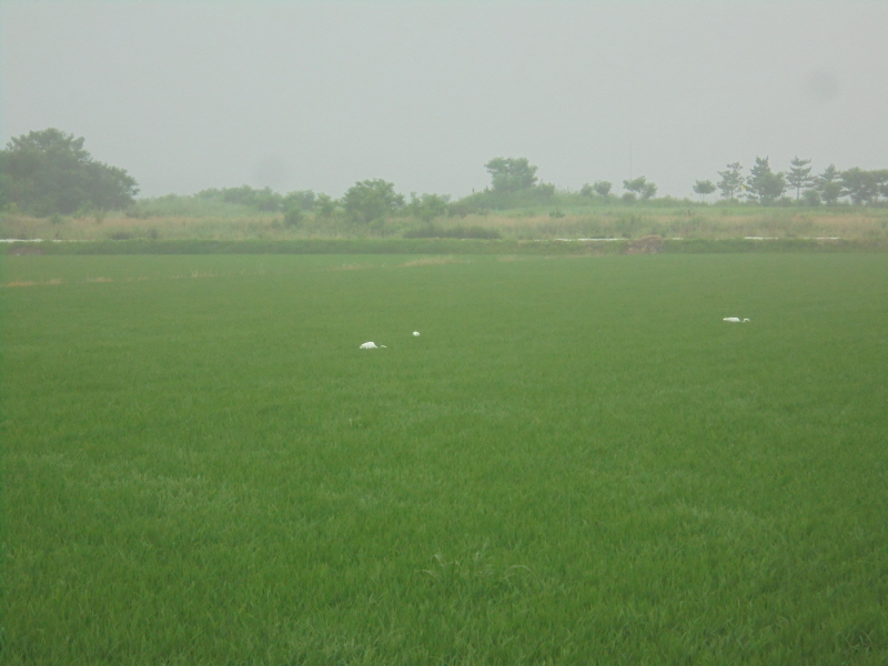 꾸미기_2DSC06667.JPG