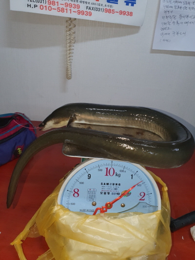 꾸미기_21628388397892.jpg
