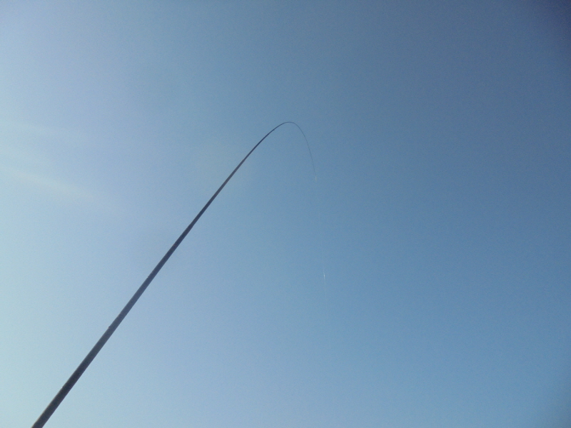 꾸미기_2DSC07105.JPG