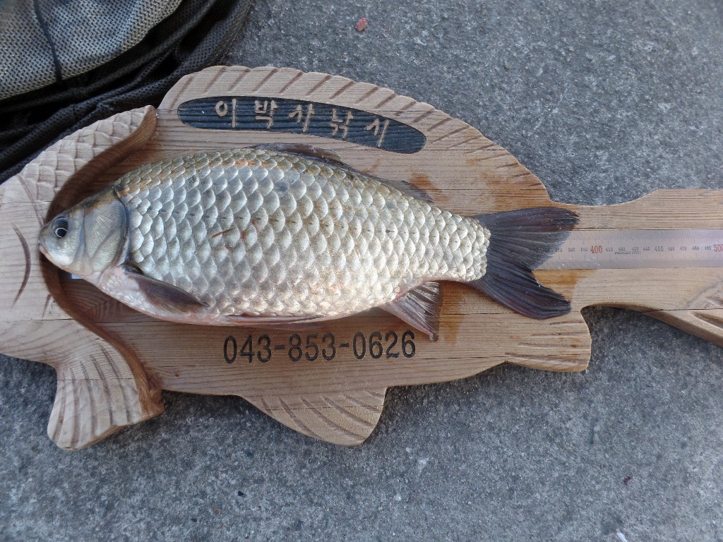 010.JPG