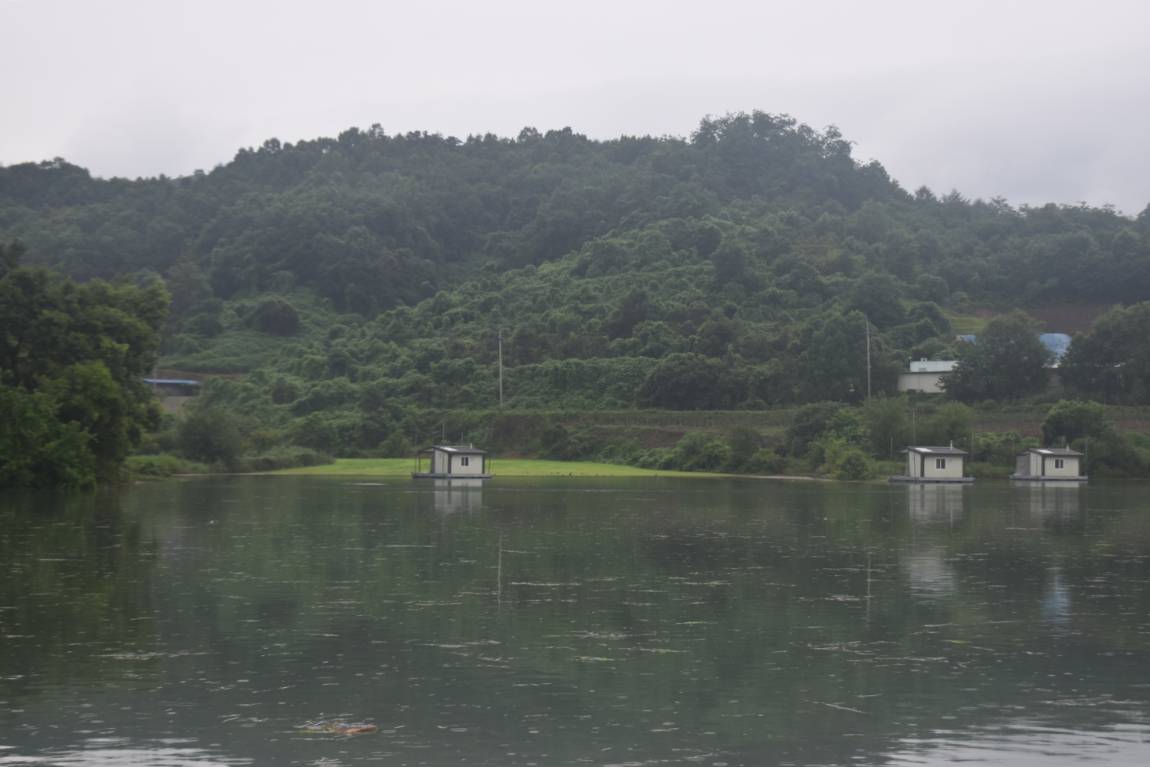 DSC_0093.JPG