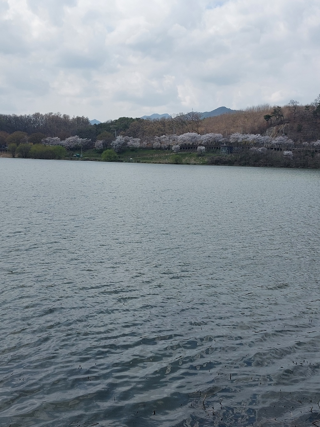 KakaoTalk_20240405_144340690.jpg