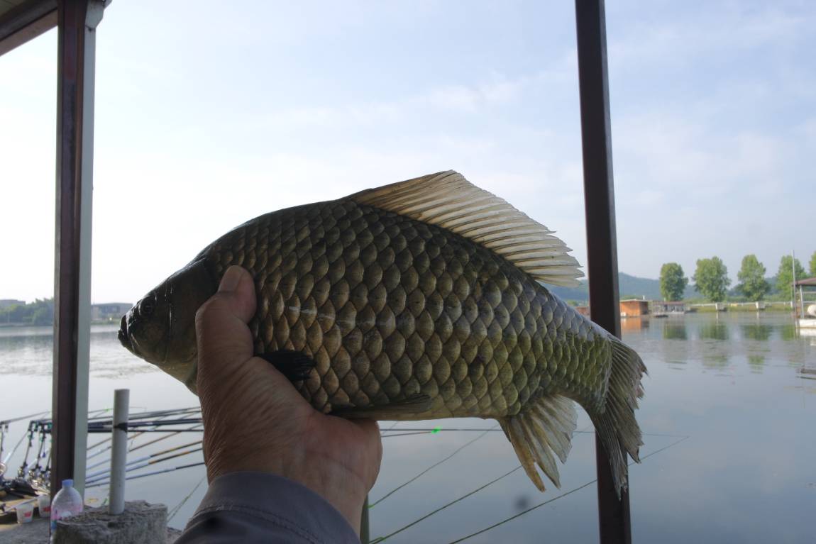 SAM_5548.JPG