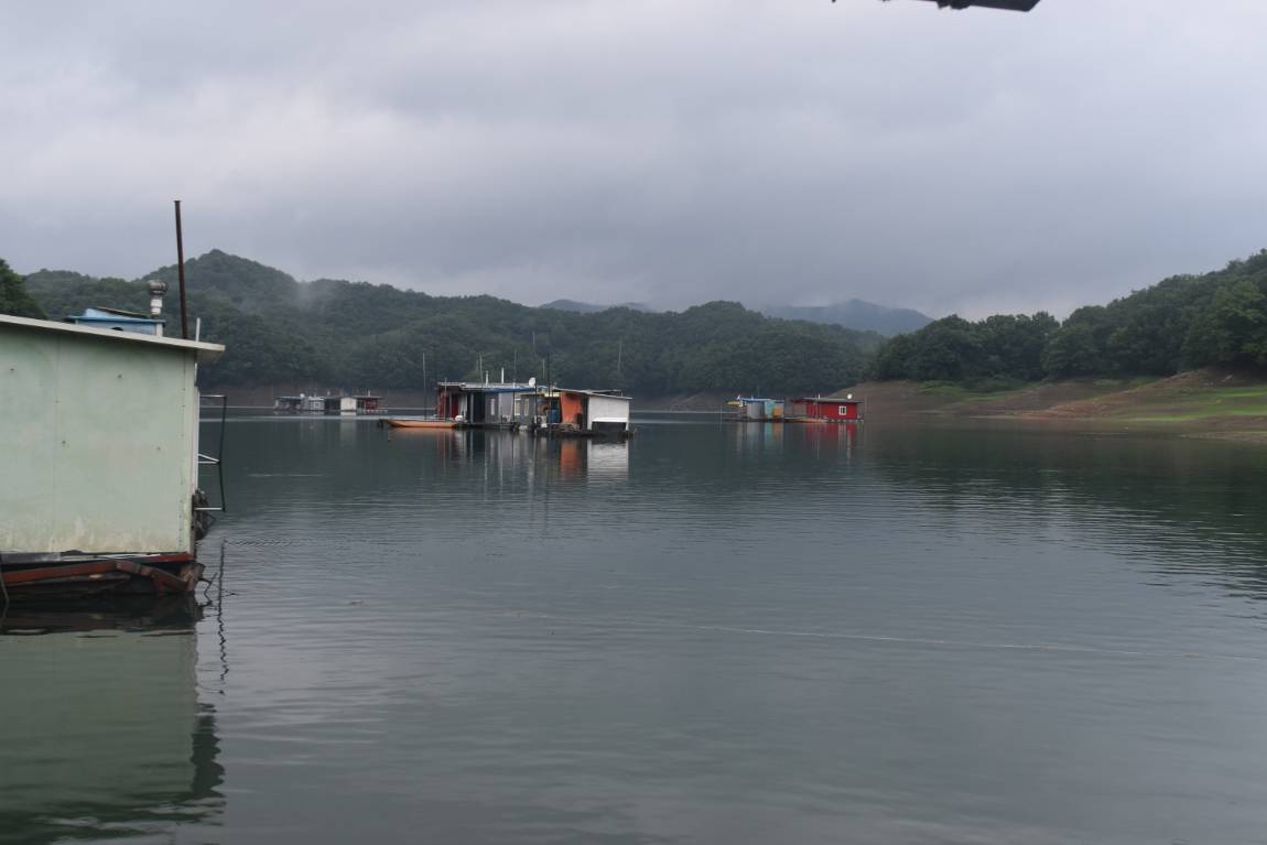 DSC_0009.JPG