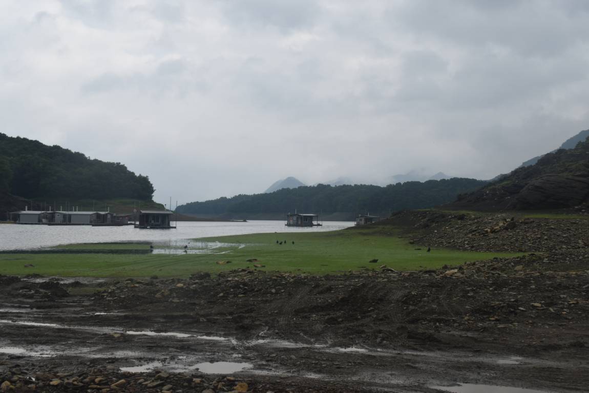DSC_0026.JPG