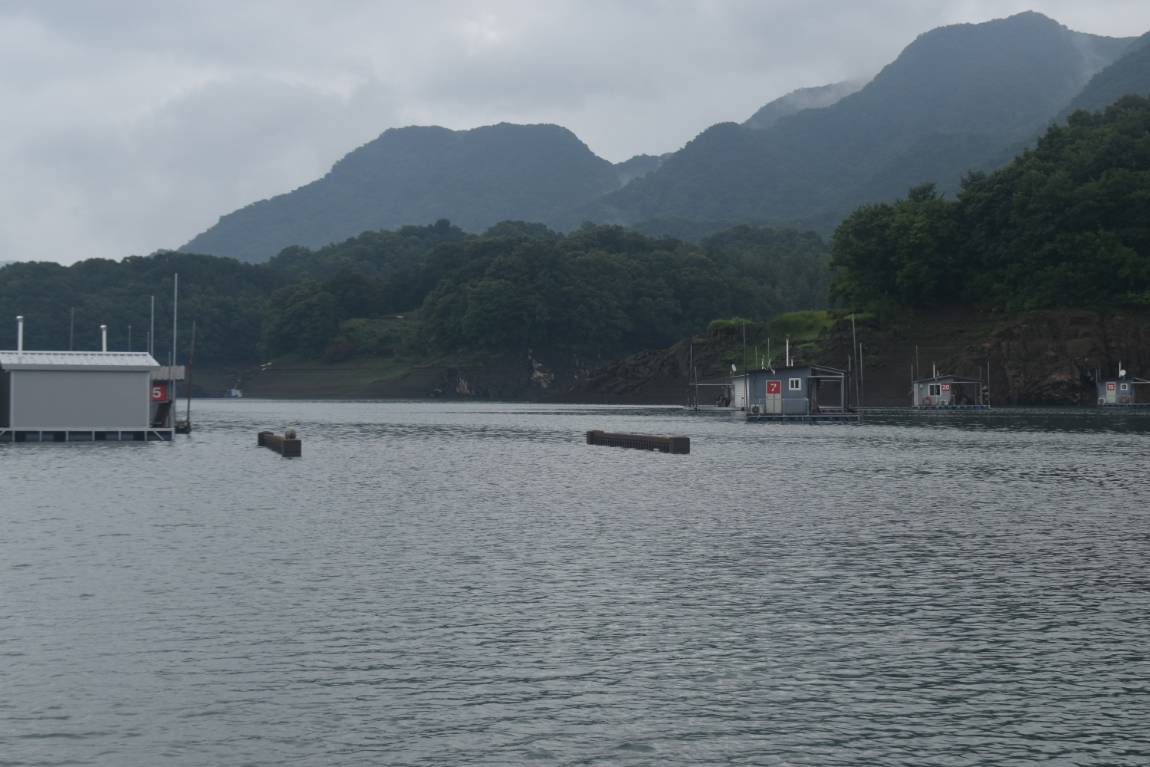 DSC_0028.JPG