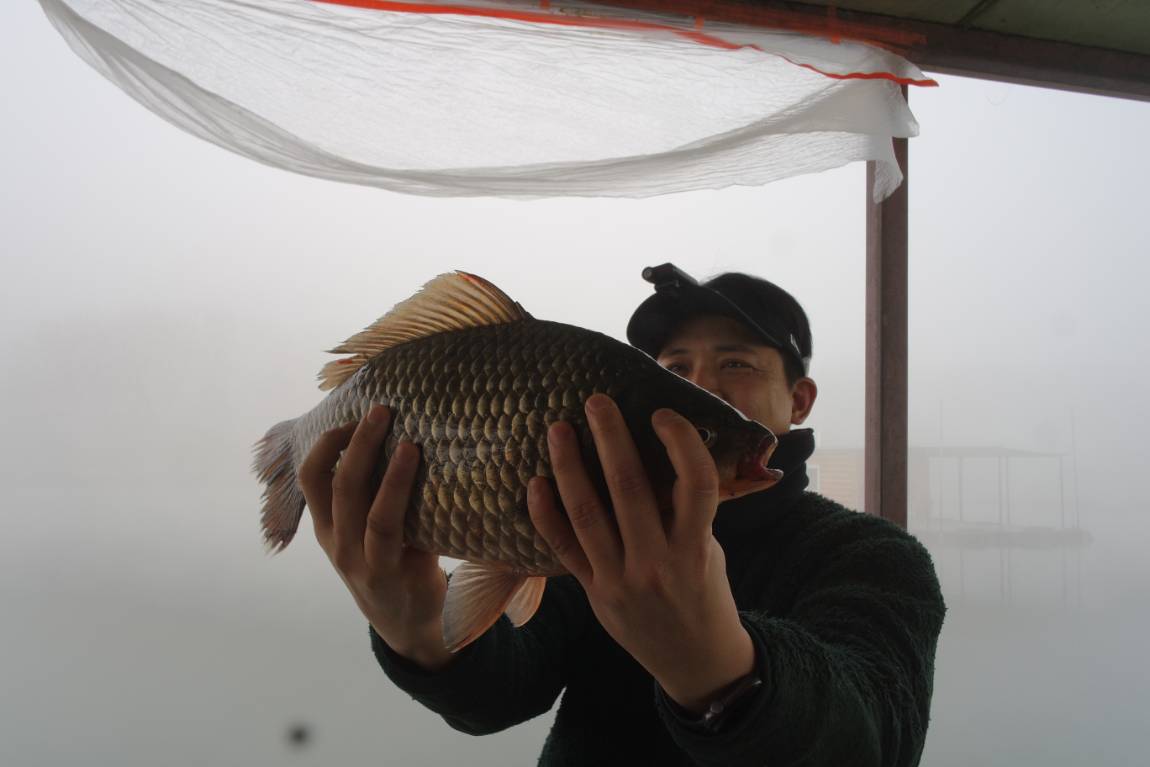 SAM_6409.JPG