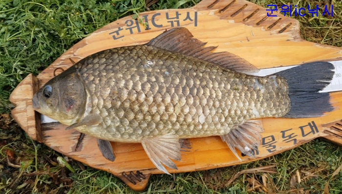 55.jpg