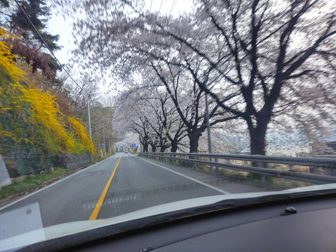 KakaoTalk_20250416_091231148_10.jpg