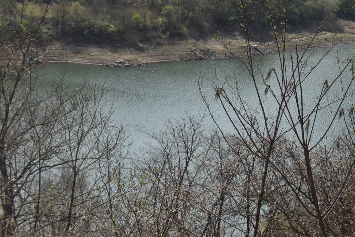 DSC_0020.JPG