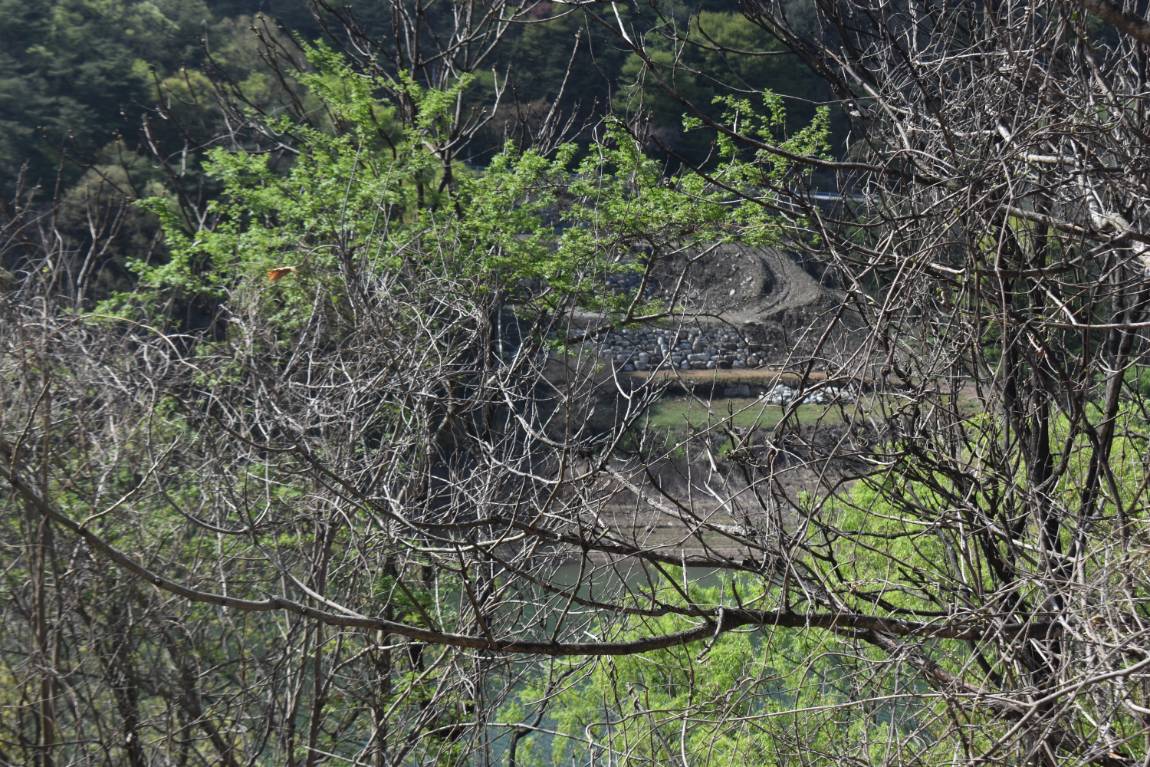 DSC_0022.JPG