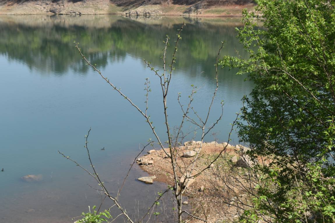 DSC_0028.JPG