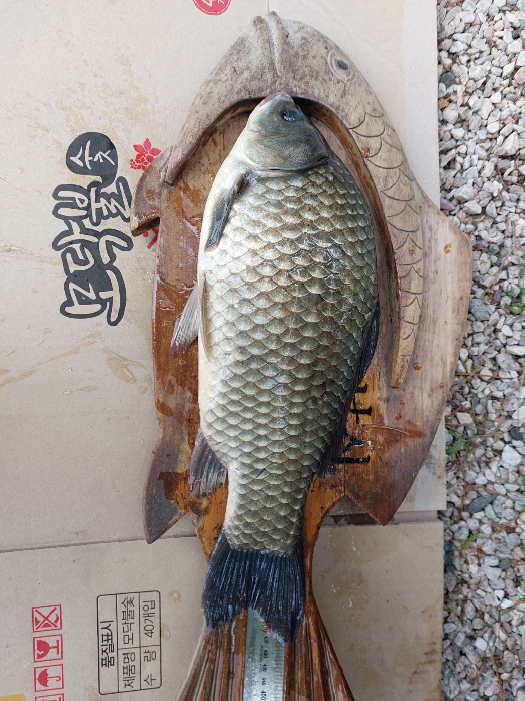KakaoTalk_20250508_202712681.jpg
