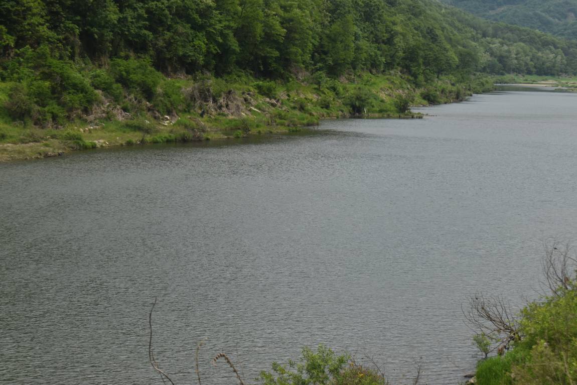 DSC_0002.JPG