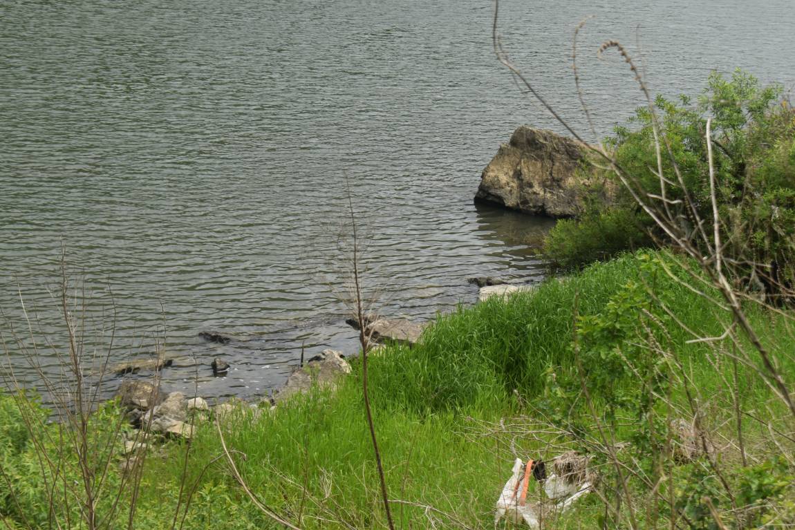 DSC_0004.JPG