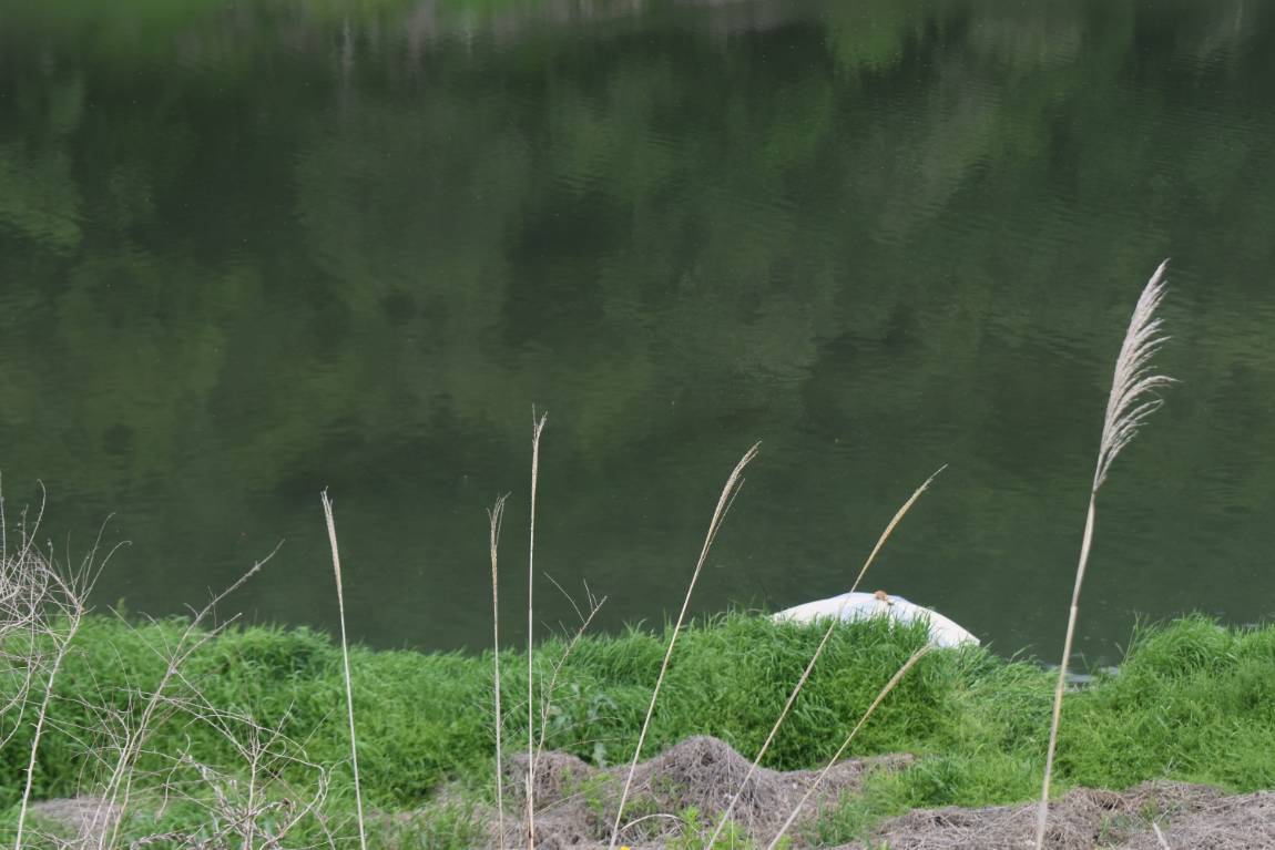 DSC_0019.JPG