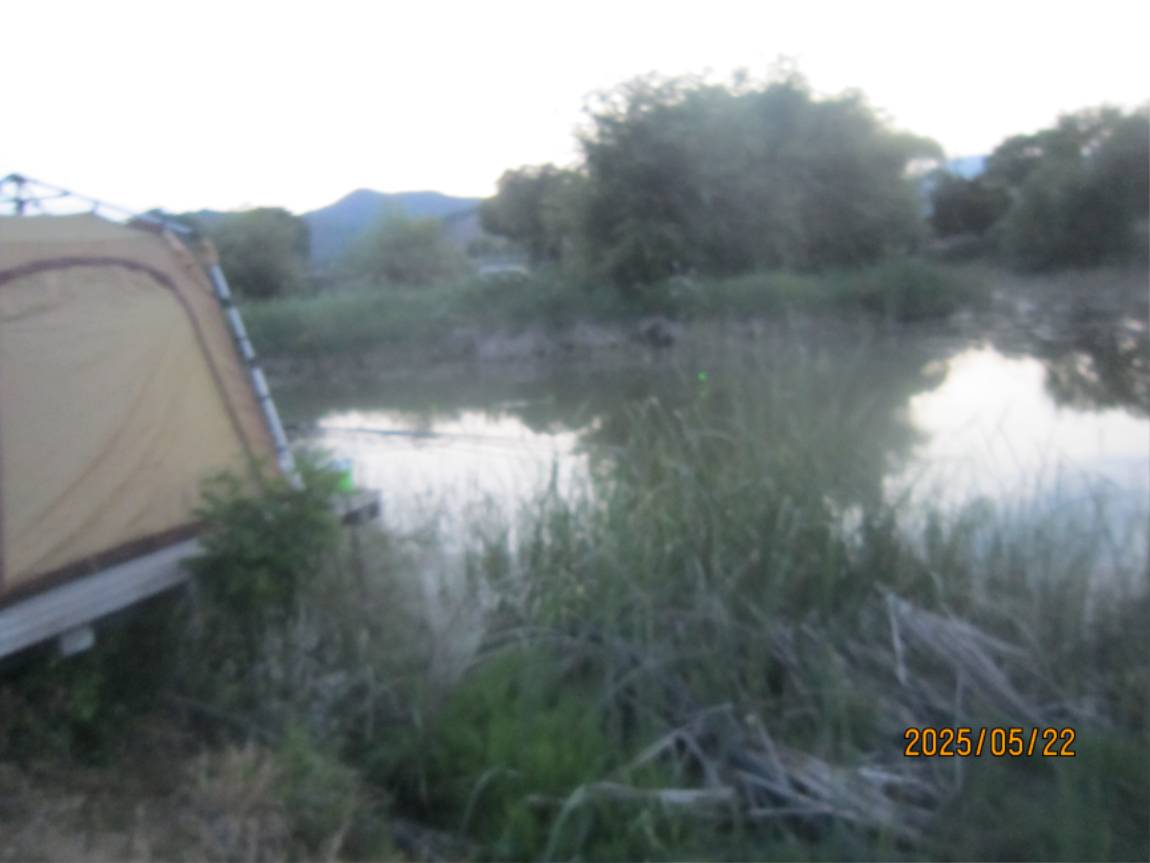 IMG_2554.JPG