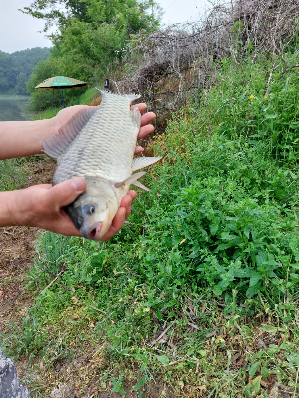 KakaoTalk_20250522_204146248.jpg