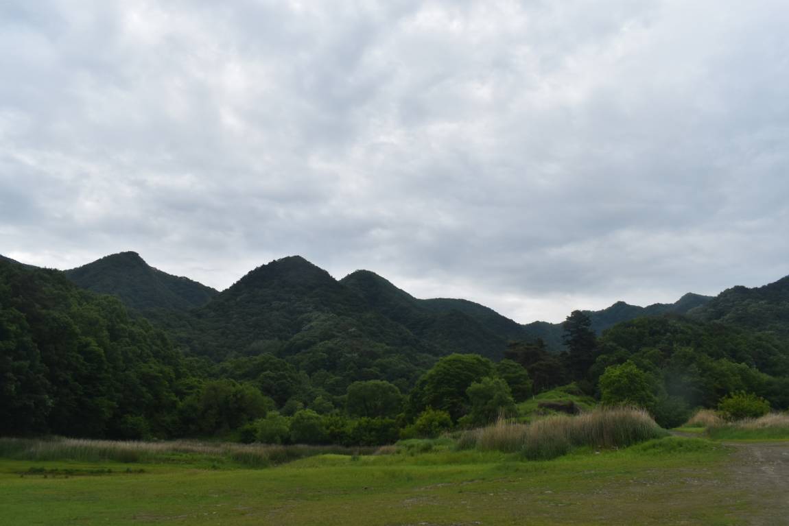 DSC_0002.JPG