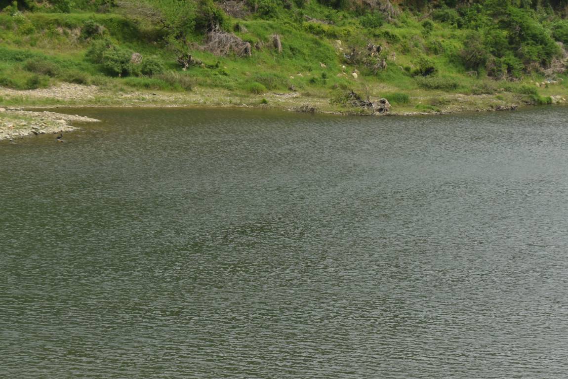 DSC_0003.JPG