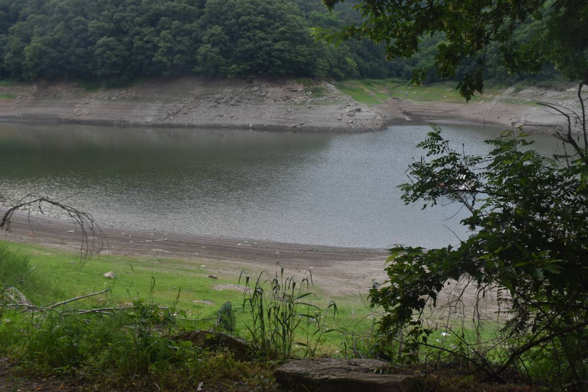 DSC_0012.JPG