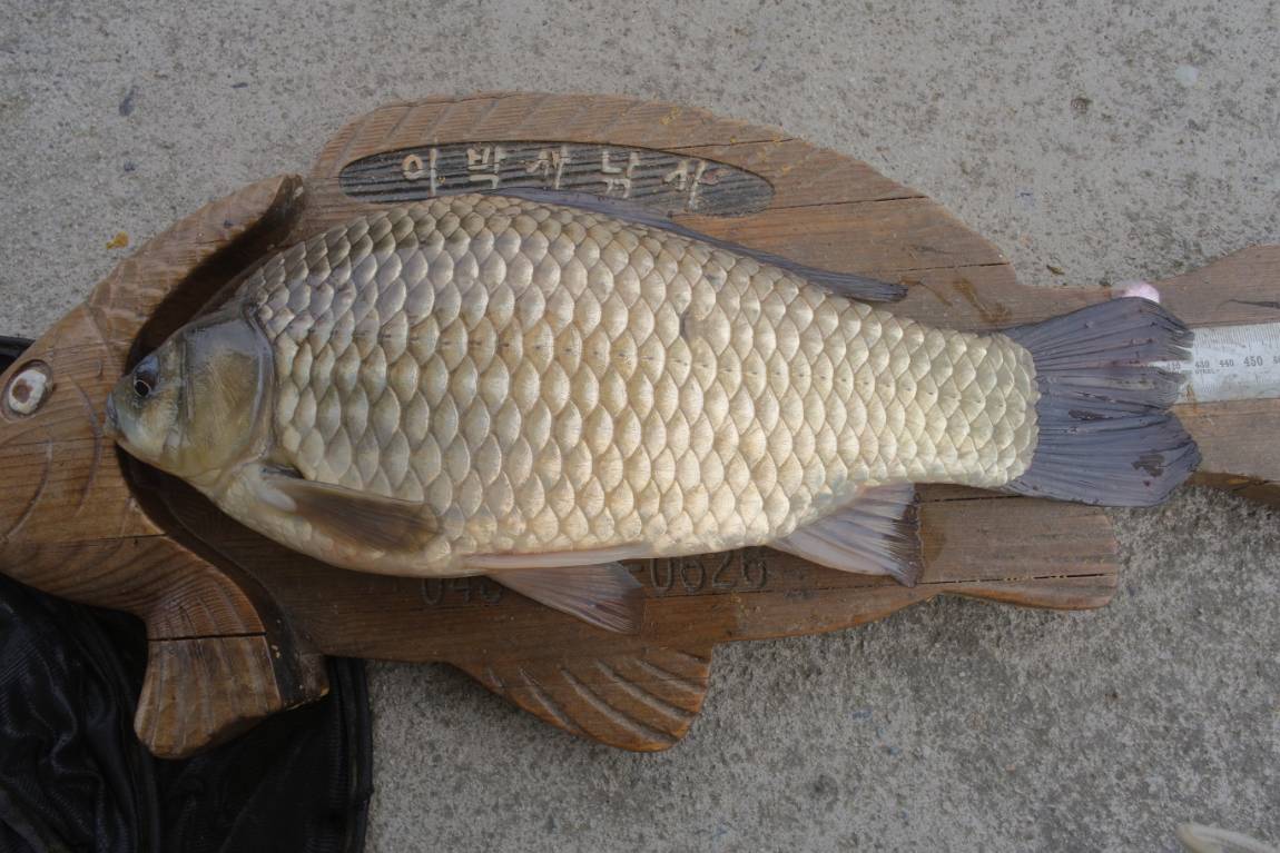 SAM_7420.JPG