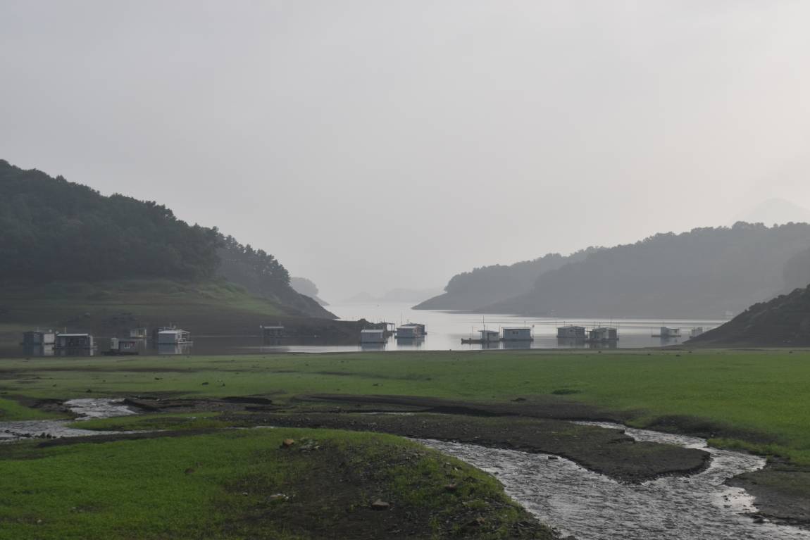 DSC_0003.JPG