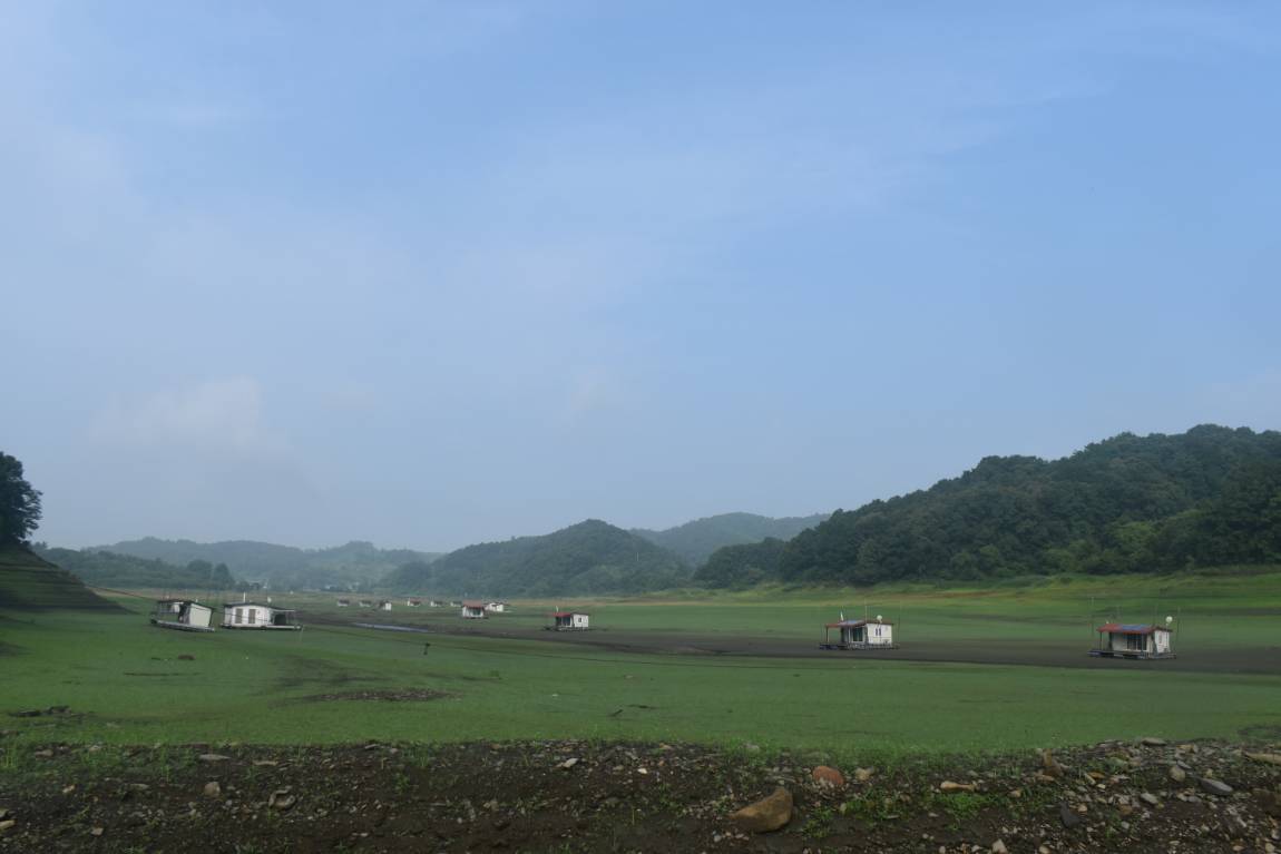 DSC_0004.JPG