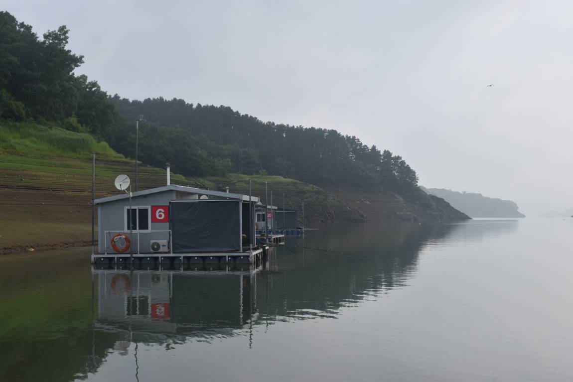 DSC_0014.JPG