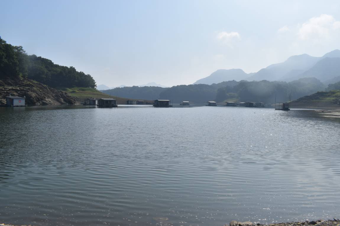 DSC_0003.JPG