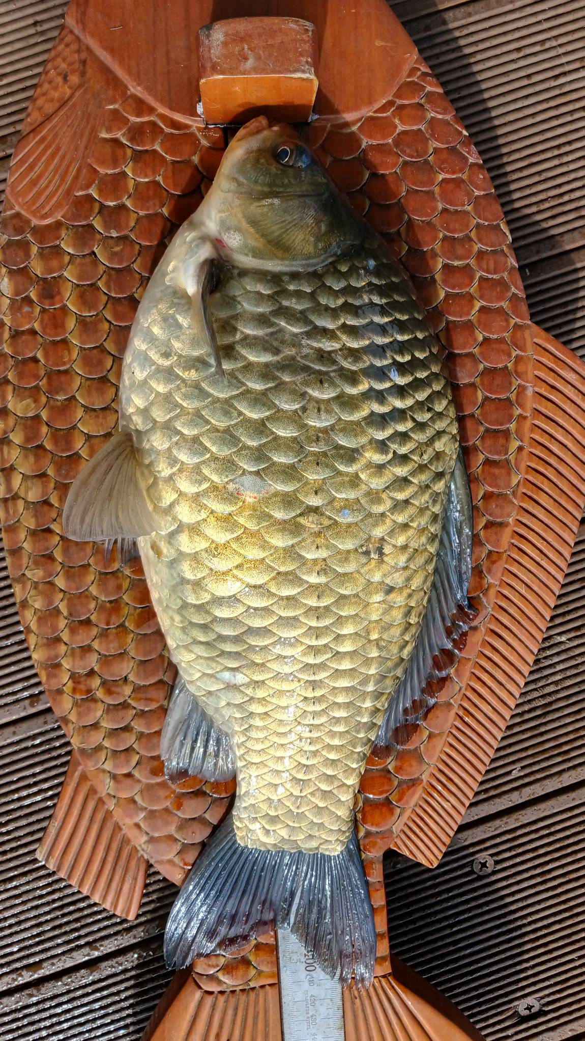 1750640138154.jpg
