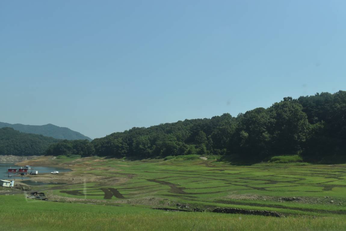 DSC_0003.JPG