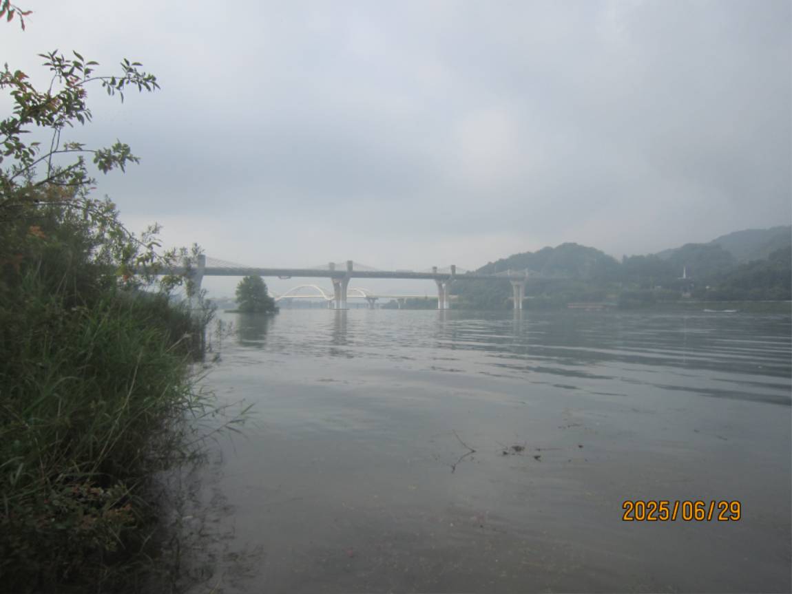 IMG_2609.JPG