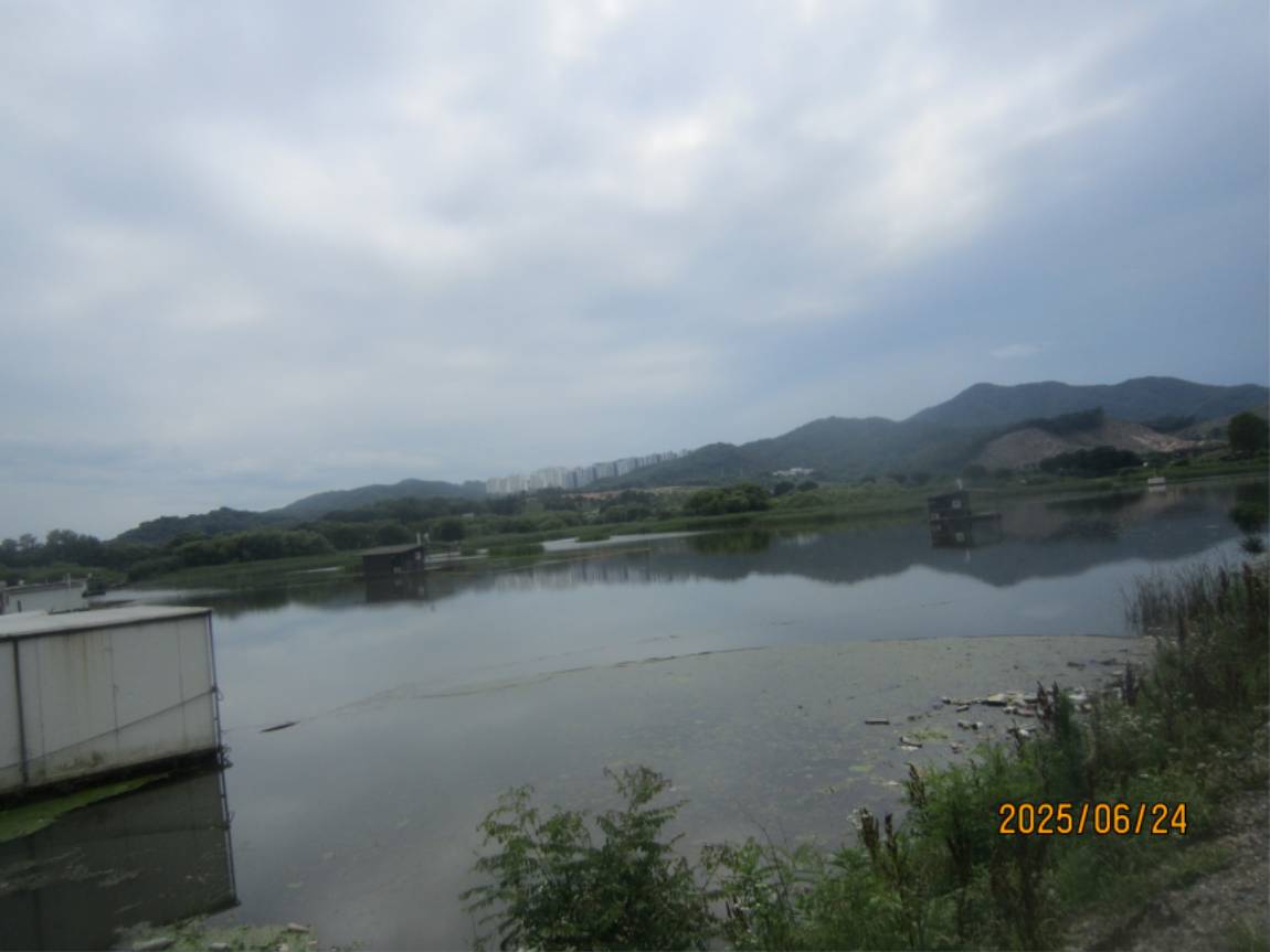 IMG_2590.JPG