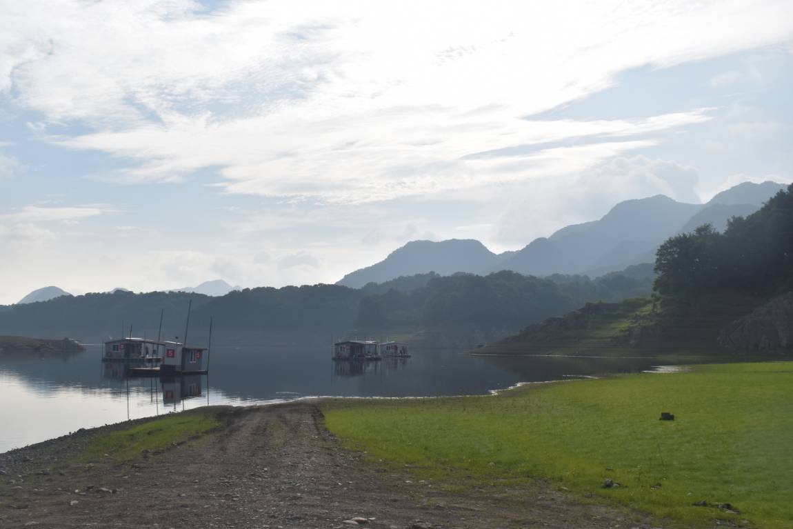 DSC_0003.JPG