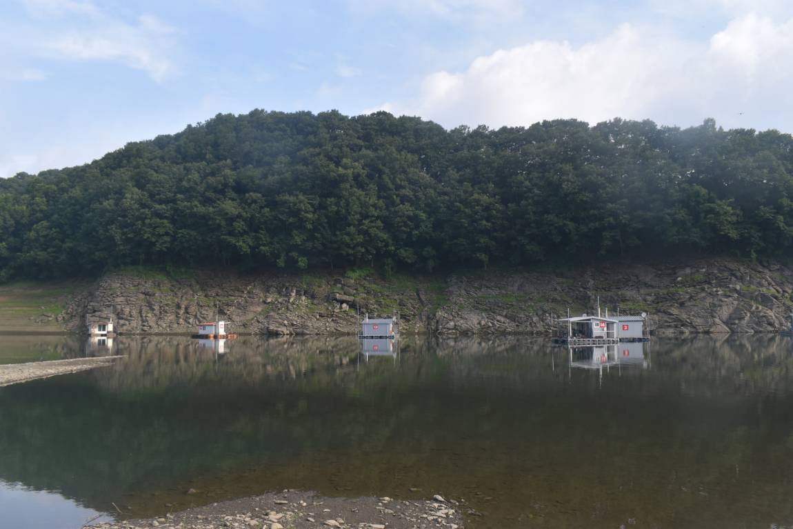 DSC_0004.JPG