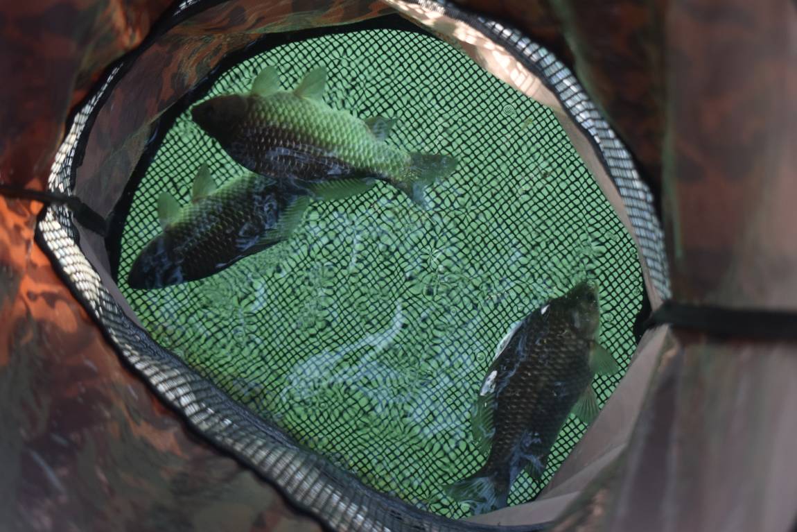 DSC_0008.JPG