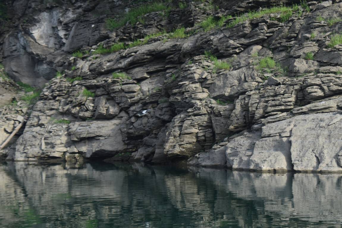 DSC_0010.JPG