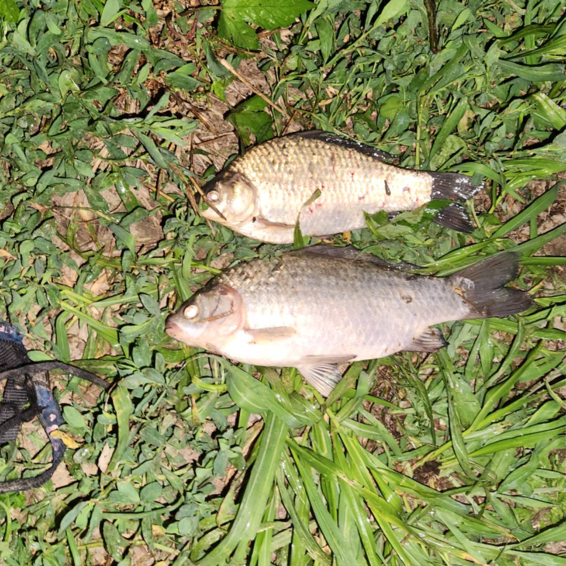 20250707_012118.jpg