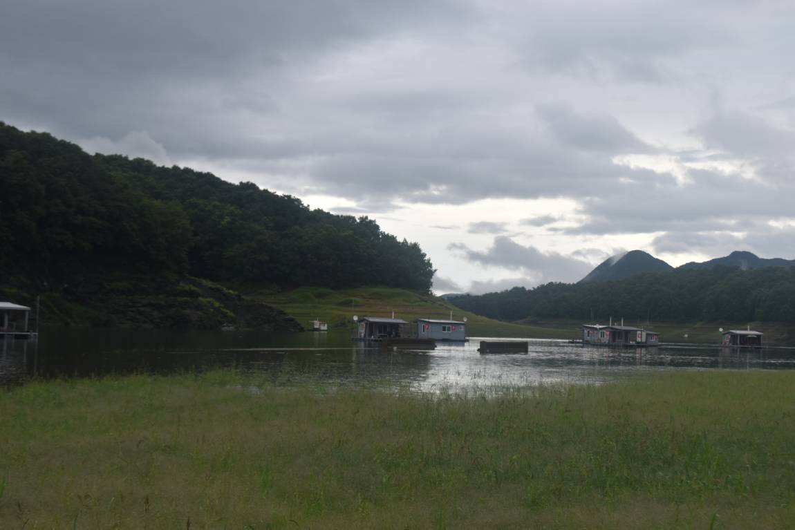 DSC_0011.JPG