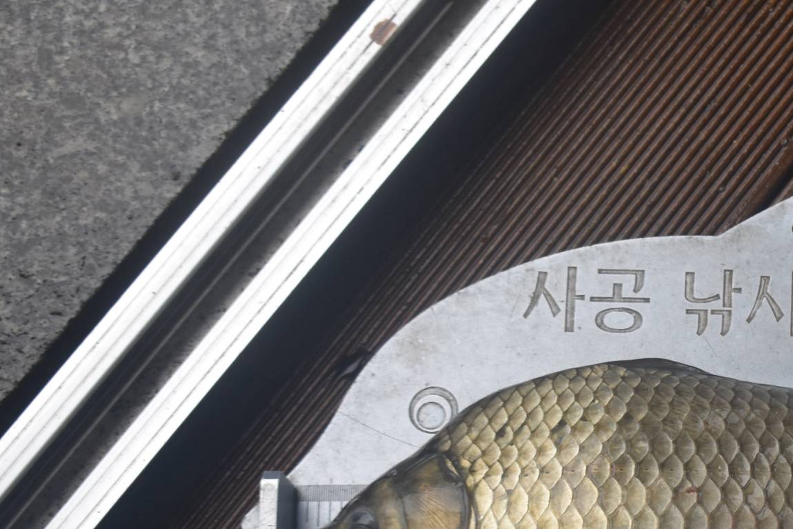 DSC_0017.JPG