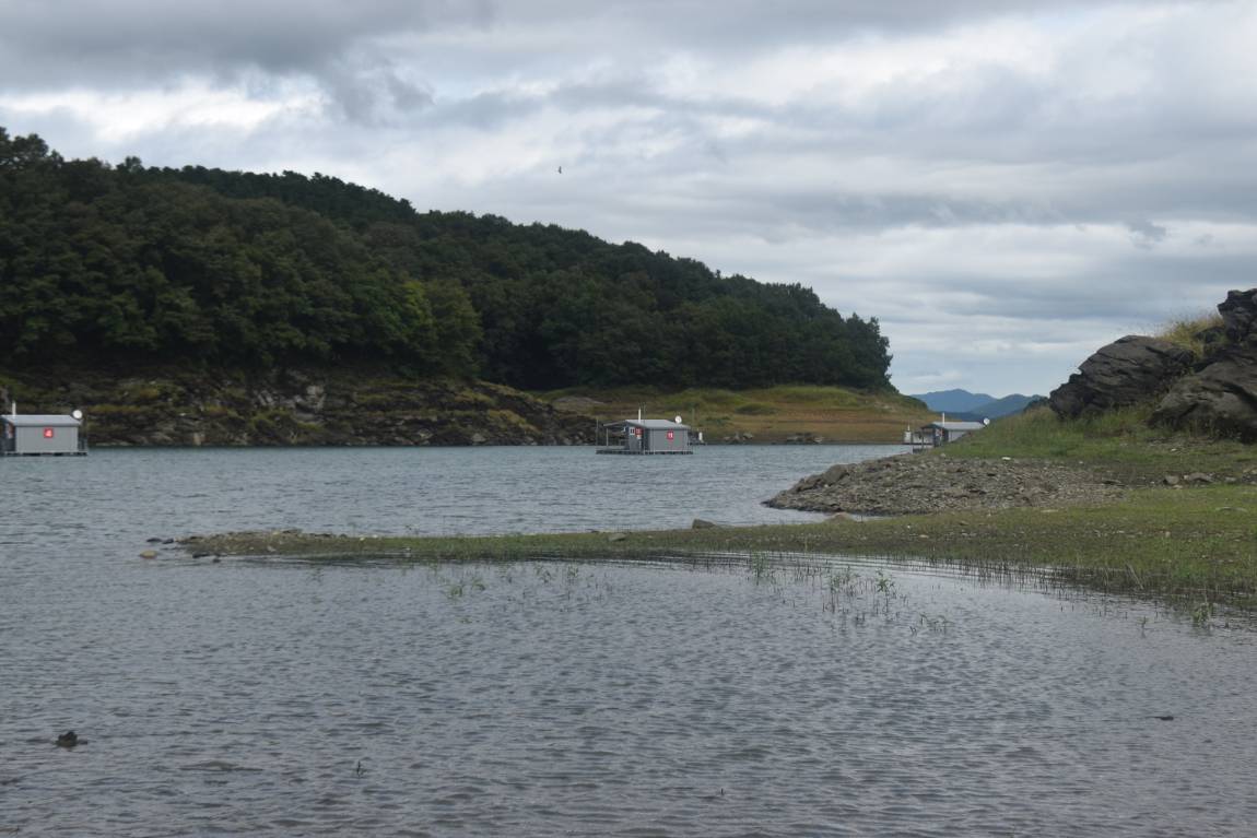 DSC_0012.JPG