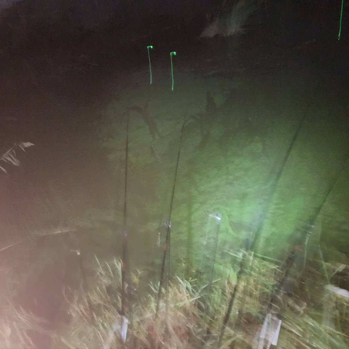 20250922_014221.jpg