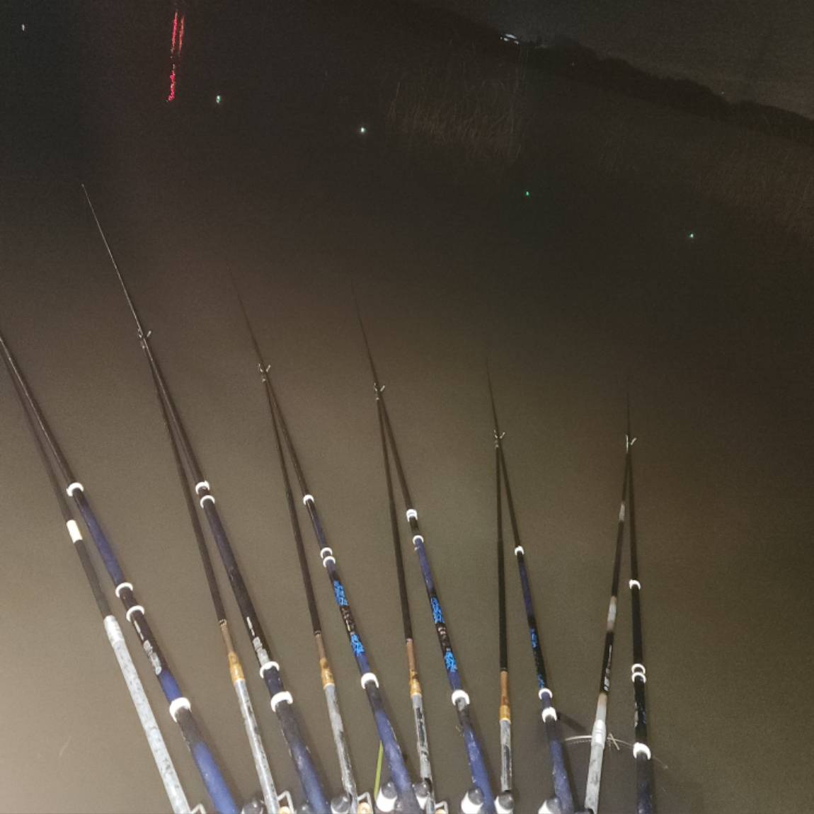 20251022_234506 (1).jpg